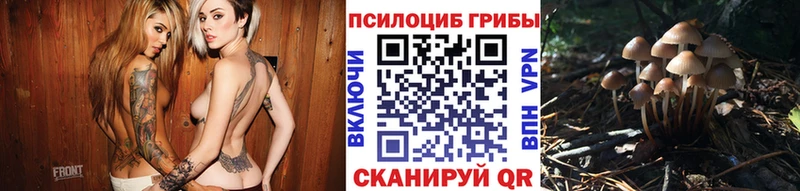 Галлюциногенные грибы Magic Shrooms  магазин продажи наркотиков  Выкса 